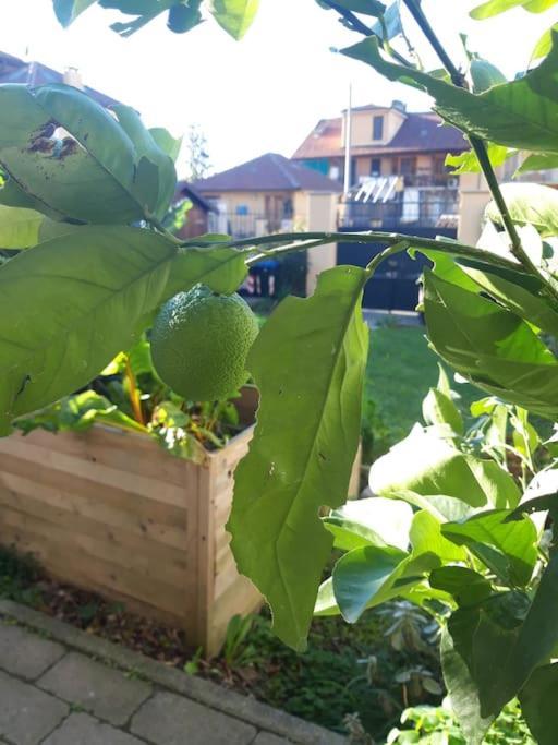 Casasassi Lägenhet Turin Exteriör bild