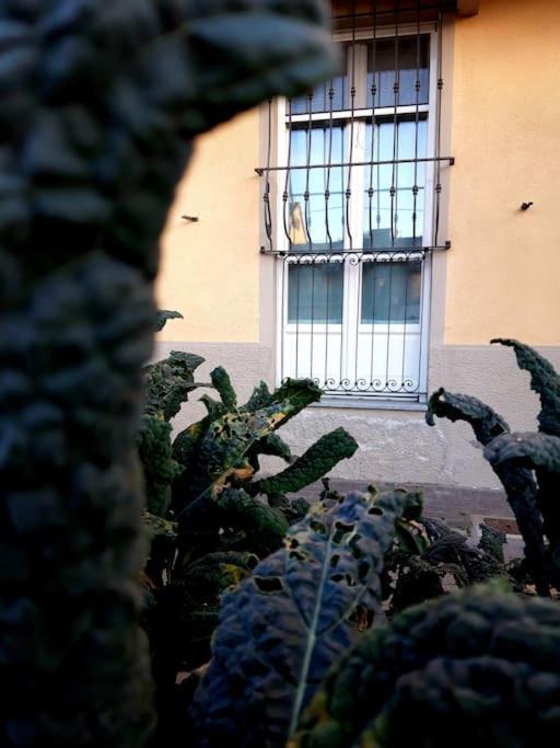 Casasassi Lägenhet Turin Exteriör bild